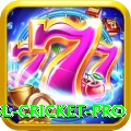 bbl cricket - Casino VIP