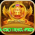 ben cutting Pakistan VIP v1.9.1