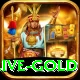 betandyou88.pk - Live Gold