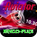 bingo Turbo Pro v4.2.4