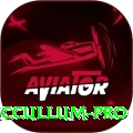 brendon mccullum Earn Pro v3.7.9