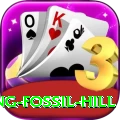 chhusang fossil hill Turbo Pro v2.5.4