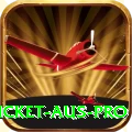 cricket aus Extreme PK v3.0.8