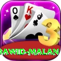 dawid malan Max v1.0.4