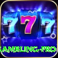 gambling Prime 2024