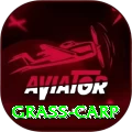 grass carp Pro1 v5.7.6