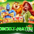 india cricket match Gold Edition v3.3.6