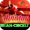 india pakistan cricket Gold v5.8.8