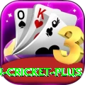 india pakistan cricket - Elite Edition v2.3.4