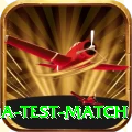 india test match Premium Edition v3.9.9