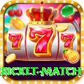 international cricket match Plus v1.5.8