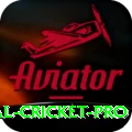 international cricket Jackpot Ultimate v5.6.8