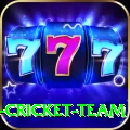 ireland cricket team Plus v1.7.4
