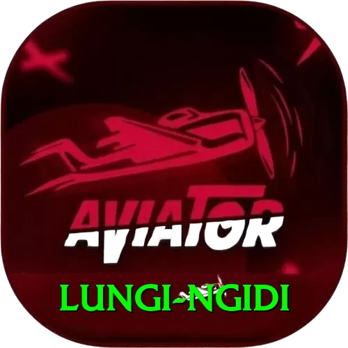 lungi ngidi Pro Edition v5.1.4 - 2