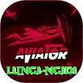 lungi ngidi Pro Edition v5.1.4