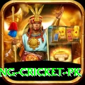 make money betting cricket pk VIP Edition v3.0.8