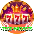 most test wickets Master Pro v4.6.5