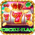 new zealand cricket team Turbo Pro v1.4.0