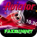 pakrummy Apps (Tools & Injectors) Ultimate v3.1.3