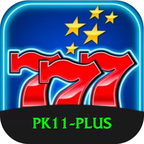 pk11 Premium Plus v3.2.2 - 2