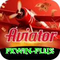 pkwin Max Pro vv2.3.1