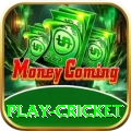 play cricket VIP v4.3.1