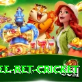 risk free bet cricket Elite Pro v2.6.4