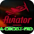 sri lanka cricket Jackpot Deluxe v4.7.3