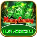 test cricket Pro1 v1.5.2