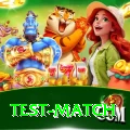 test match Ultimate Pro v4.5.6